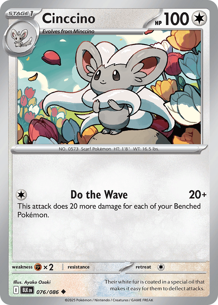 Cinccino